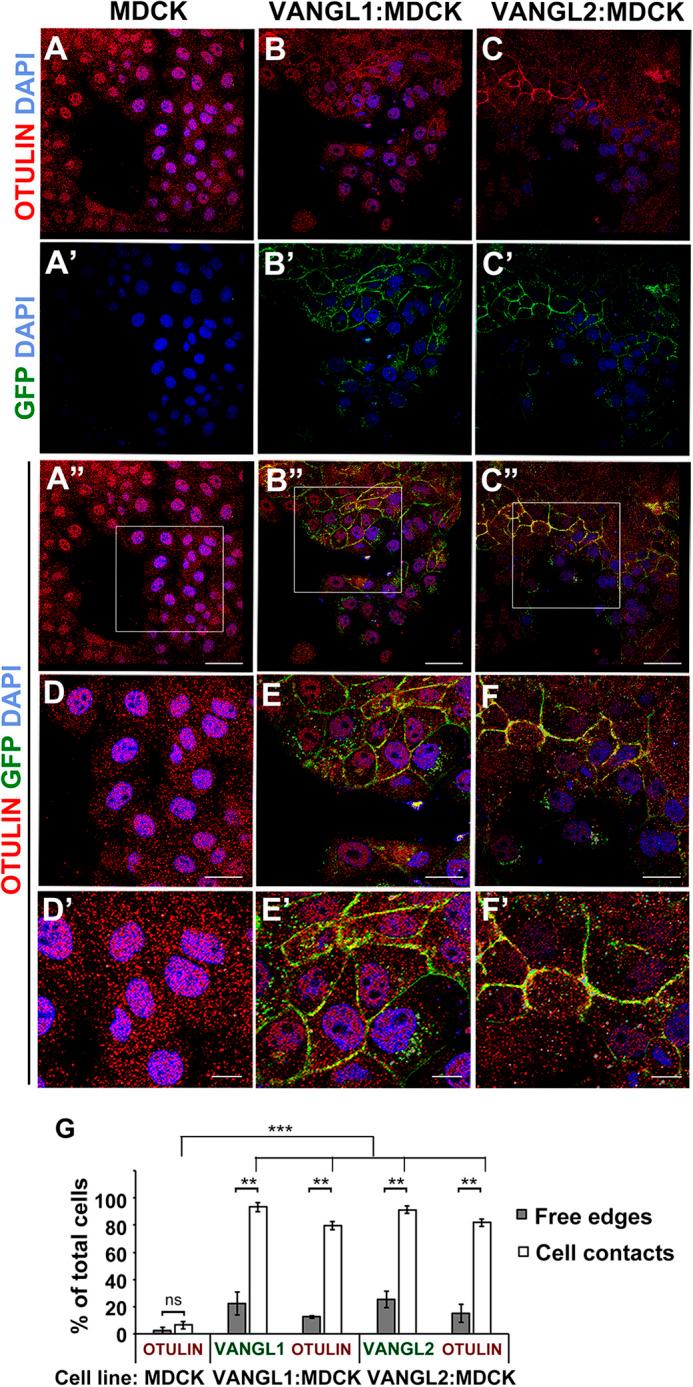 https://cdn.ncbi.nlm.nih.gov/pmc/blobs/d6d4/10445738/36d6f0ecd488/dmm-16-049762-g3.jpg