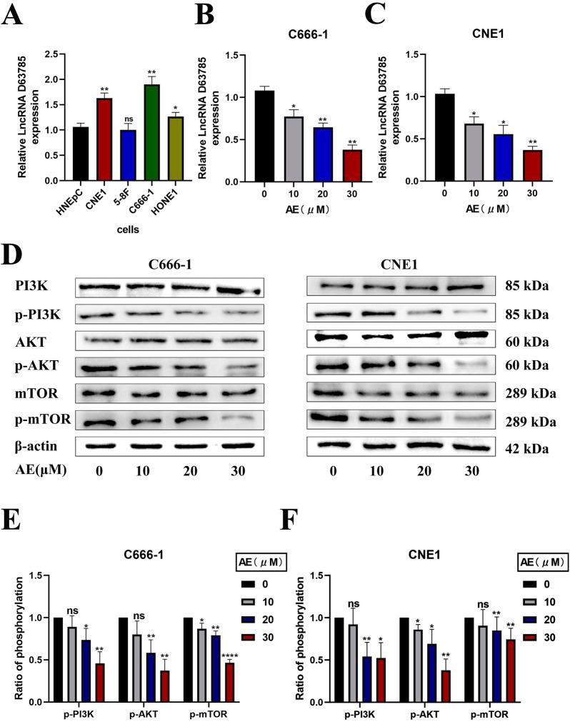 https://cdn.ncbi.nlm.nih.gov/pmc/blobs/d6d5/12313606/72d34e8f161b/fphar-16-1573408-g001.jpg