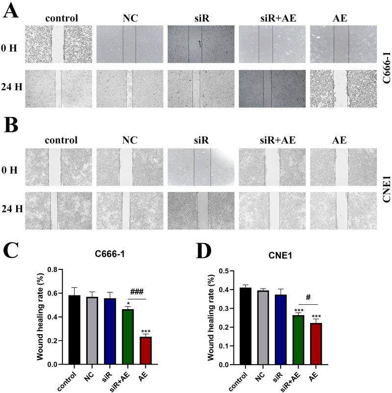 https://cdn.ncbi.nlm.nih.gov/pmc/blobs/d6d5/12313606/f01c2563b304/fphar-16-1573408-g003.jpg