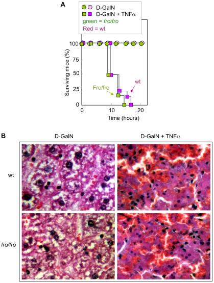 https://cdn.ncbi.nlm.nih.gov/pmc/blobs/d6d5/2843740/75f7ac2145b8/pone.0009826.g005.jpg