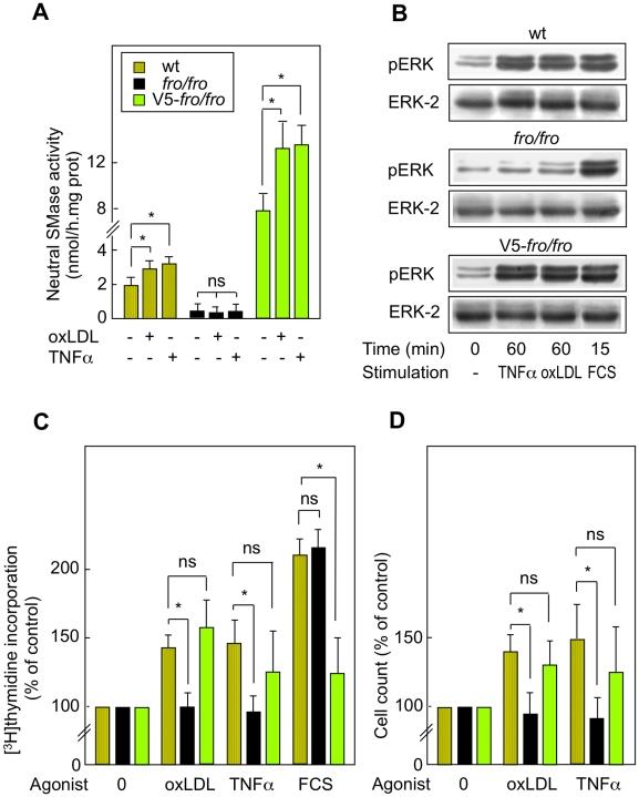 https://cdn.ncbi.nlm.nih.gov/pmc/blobs/d6d5/2843740/8bd2c0791330/pone.0009826.g006.jpg
