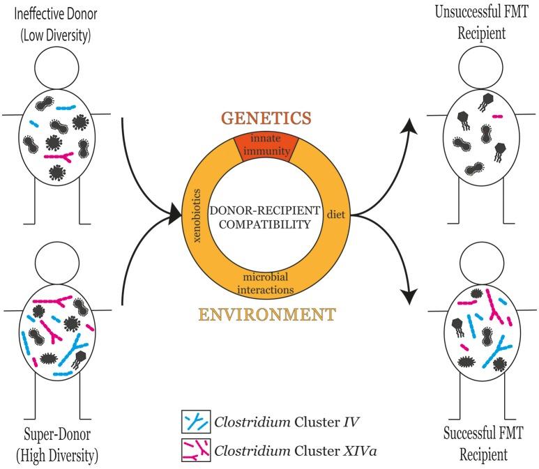 https://cdn.ncbi.nlm.nih.gov/pmc/blobs/d6d7/6348388/923c0a462420/fcimb-09-00002-g0001.jpg