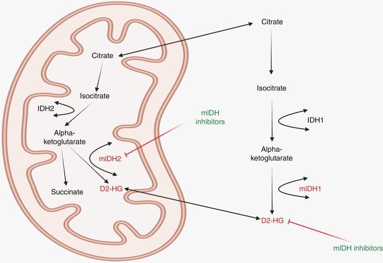 https://cdn.ncbi.nlm.nih.gov/pmc/blobs/d6d8/10243983/d75d1e24eac7/vdad053_fig1.jpg