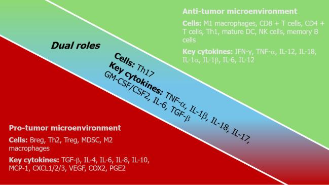 https://cdn.ncbi.nlm.nih.gov/pmc/blobs/d6d8/12304906/e347b3e72456/wjco-16-7-107339-g002.jpg