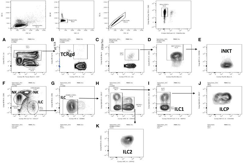 https://cdn.ncbi.nlm.nih.gov/pmc/blobs/d6da/10925672/07cc56ca1e92/fimmu-15-1360716-g001.jpg