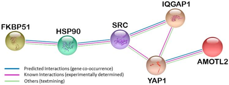 https://cdn.ncbi.nlm.nih.gov/pmc/blobs/d6dc/5412470/9794ce9a69ac/ijms-18-00891-g001.jpg