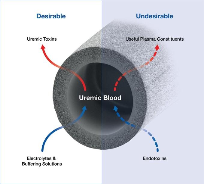 https://cdn.ncbi.nlm.nih.gov/pmc/blobs/d6dd/8711756/68633f5c532d/sfab183fig1.jpg