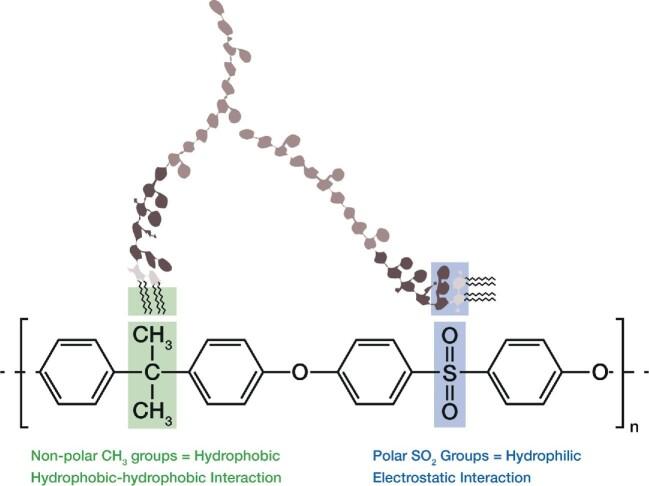 https://cdn.ncbi.nlm.nih.gov/pmc/blobs/d6dd/8711756/6df6bde1df5c/sfab183fig5.jpg