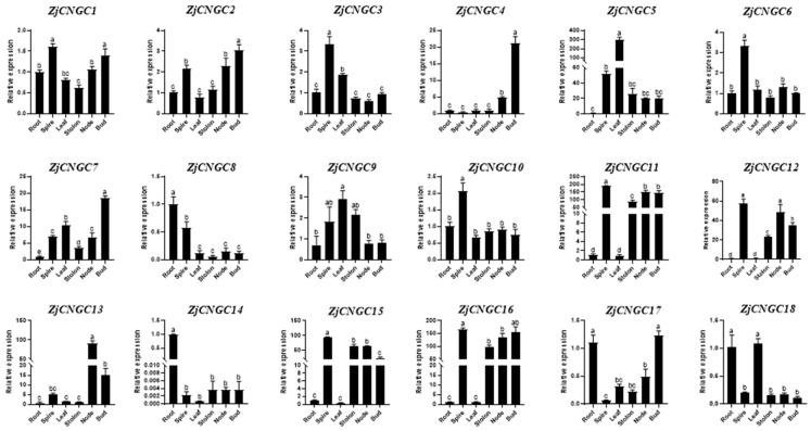 https://cdn.ncbi.nlm.nih.gov/pmc/blobs/d6de/11432434/e05e81b26120/ijms-25-10114-g007.jpg