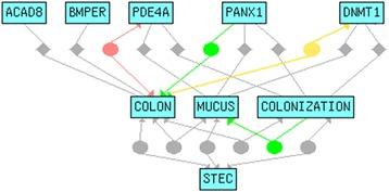 https://cdn.ncbi.nlm.nih.gov/pmc/blobs/d6df/4647490/e2069abf0bff/12864_2015_2127_Fig6_HTML.jpg