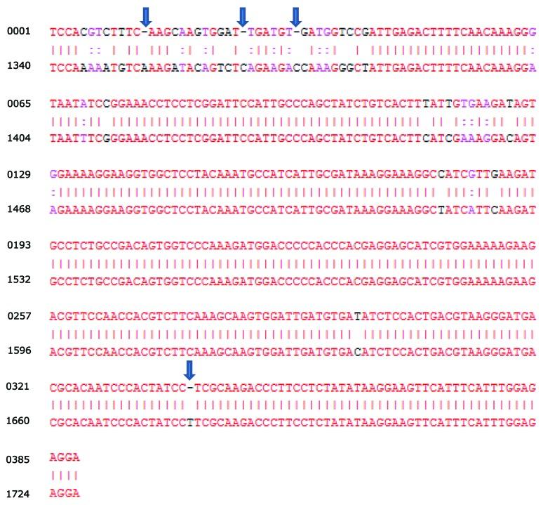 https://cdn.ncbi.nlm.nih.gov/pmc/blobs/d6e0/5033183/b6873db58e0f/kgmc-05-01-10927542-g004.jpg