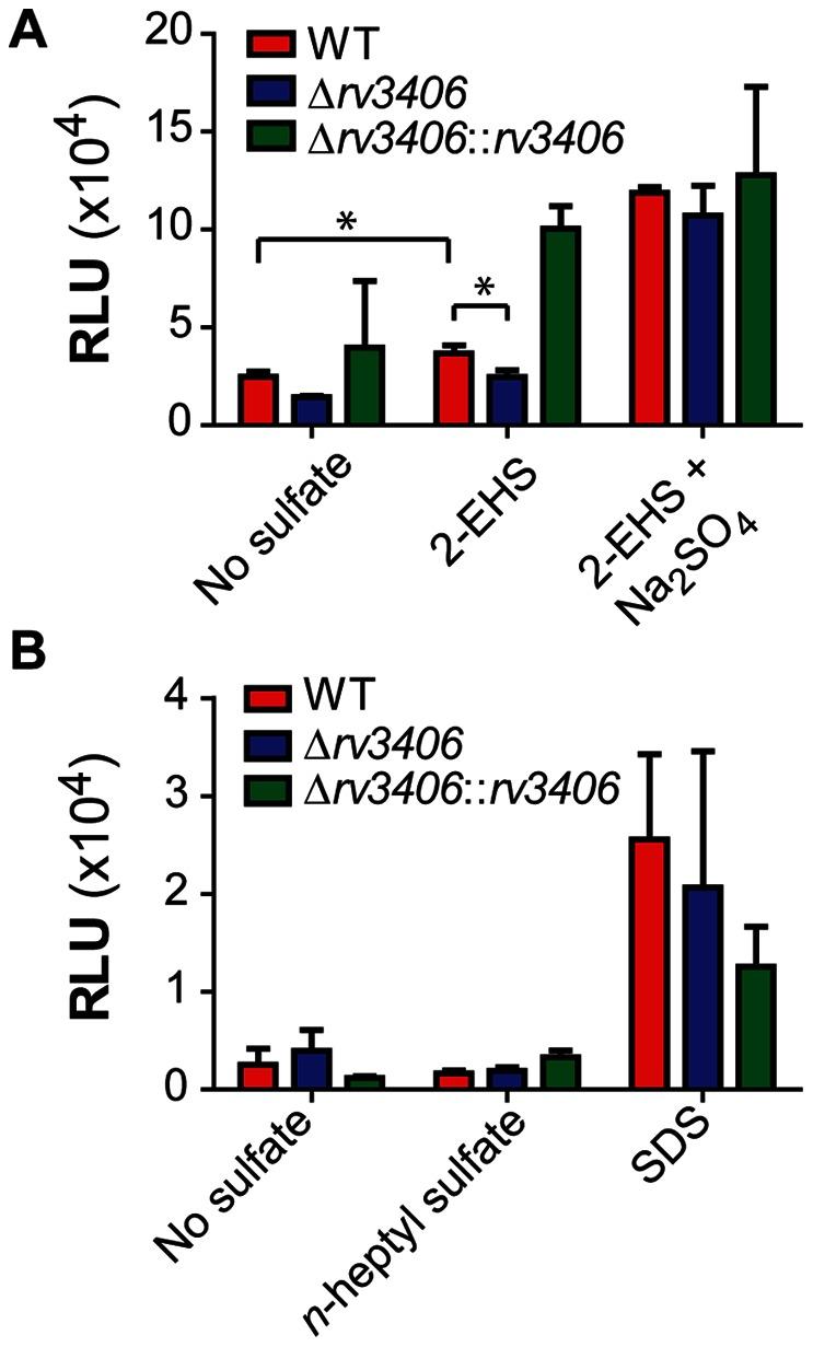 https://cdn.ncbi.nlm.nih.gov/pmc/blobs/d6e2/3675115/a093c10cf396/pone.0065080.g005.jpg