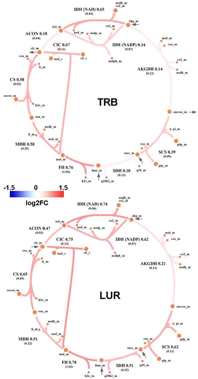 https://cdn.ncbi.nlm.nih.gov/pmc/blobs/d6e3/10479946/50707de7c4af/fimmu-14-1211068-g010.jpg