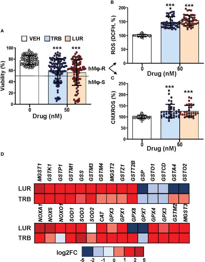https://cdn.ncbi.nlm.nih.gov/pmc/blobs/d6e3/10479946/72f1b68ea10d/fimmu-14-1211068-g001.jpg