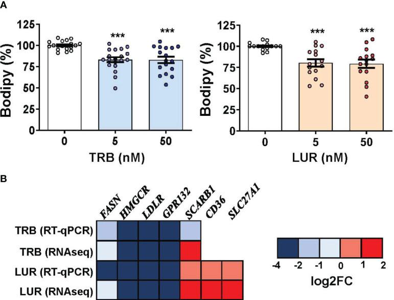 https://cdn.ncbi.nlm.nih.gov/pmc/blobs/d6e3/10479946/87693913cf37/fimmu-14-1211068-g007.jpg