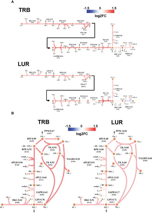 https://cdn.ncbi.nlm.nih.gov/pmc/blobs/d6e3/10479946/b202f9d7c015/fimmu-14-1211068-g009.jpg