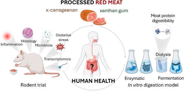 https://cdn.ncbi.nlm.nih.gov/pmc/blobs/d6e3/12392642/c451a42198ae/ga1.jpg