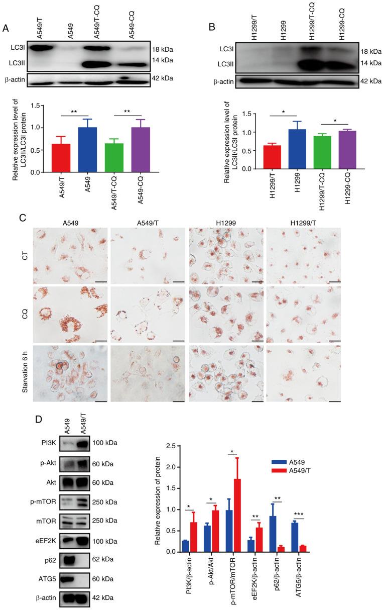 https://cdn.ncbi.nlm.nih.gov/pmc/blobs/d6e4/8185510/9f92e3699330/or-46-01-8100-g00.jpg