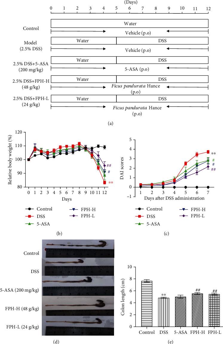 https://cdn.ncbi.nlm.nih.gov/pmc/blobs/d6e5/8710911/da7ff2c1b047/OMCL2021-2617881.002.jpg