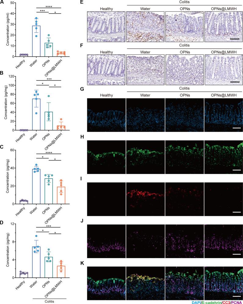https://cdn.ncbi.nlm.nih.gov/pmc/blobs/d6e6/11268407/01c8ddc393c3/sciadv.ado7438-f5.jpg