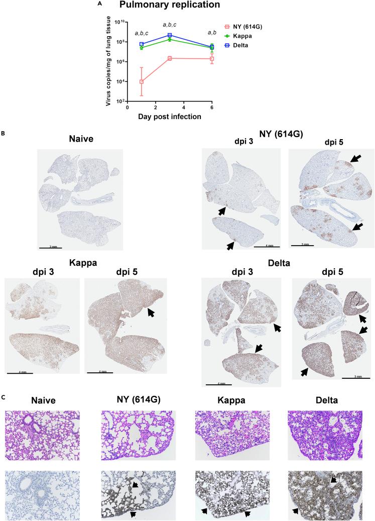 https://cdn.ncbi.nlm.nih.gov/pmc/blobs/d6e6/9678741/85a2c68b9567/gr2.jpg