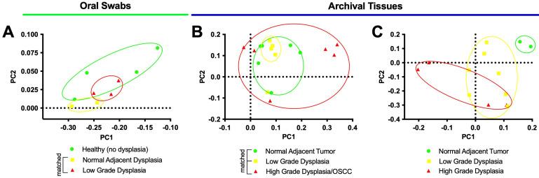 https://cdn.ncbi.nlm.nih.gov/pmc/blobs/d6e7/10534919/11f33c03a1ee/microorganisms-11-02250-g001.jpg