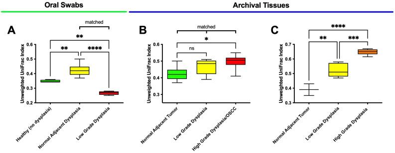https://cdn.ncbi.nlm.nih.gov/pmc/blobs/d6e7/10534919/5dd3d2b2438f/microorganisms-11-02250-g002.jpg