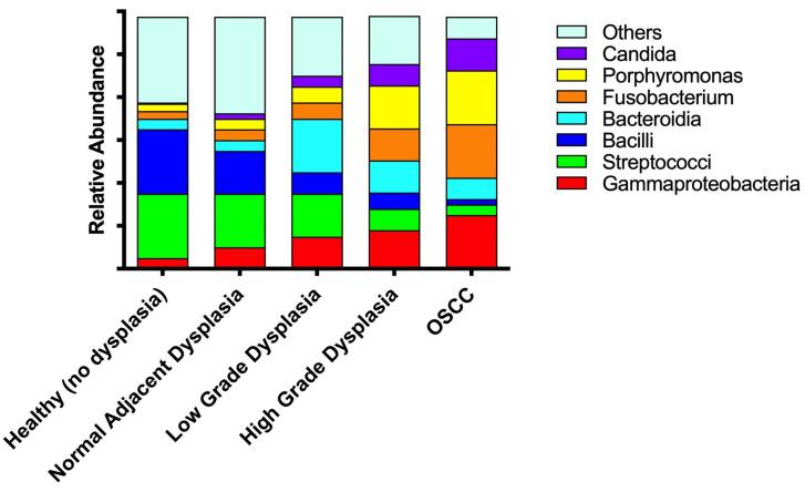 https://cdn.ncbi.nlm.nih.gov/pmc/blobs/d6e7/10534919/6452b1020ddf/microorganisms-11-02250-g009.jpg