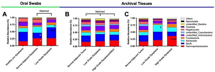 https://cdn.ncbi.nlm.nih.gov/pmc/blobs/d6e7/10534919/91dc02dbb90c/microorganisms-11-02250-g006.jpg