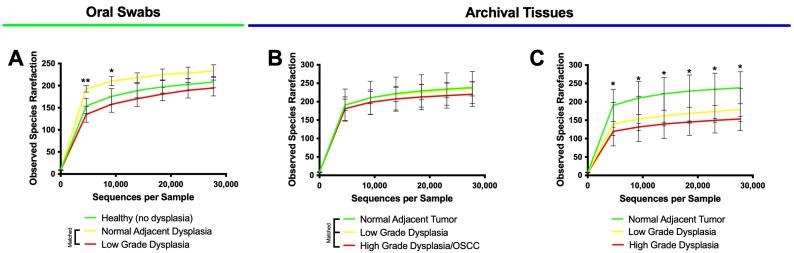 https://cdn.ncbi.nlm.nih.gov/pmc/blobs/d6e7/10534919/e5c60be64330/microorganisms-11-02250-g003.jpg