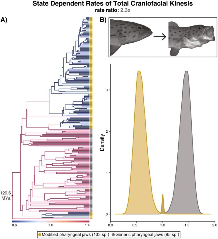 https://cdn.ncbi.nlm.nih.gov/pmc/blobs/d6e7/11790220/d96b62663af8/qrae046_fig5.jpg