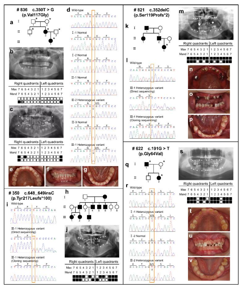 https://cdn.ncbi.nlm.nih.gov/pmc/blobs/d6e9/9331840/10459f80c3f7/ijms-23-08142-g001.jpg
