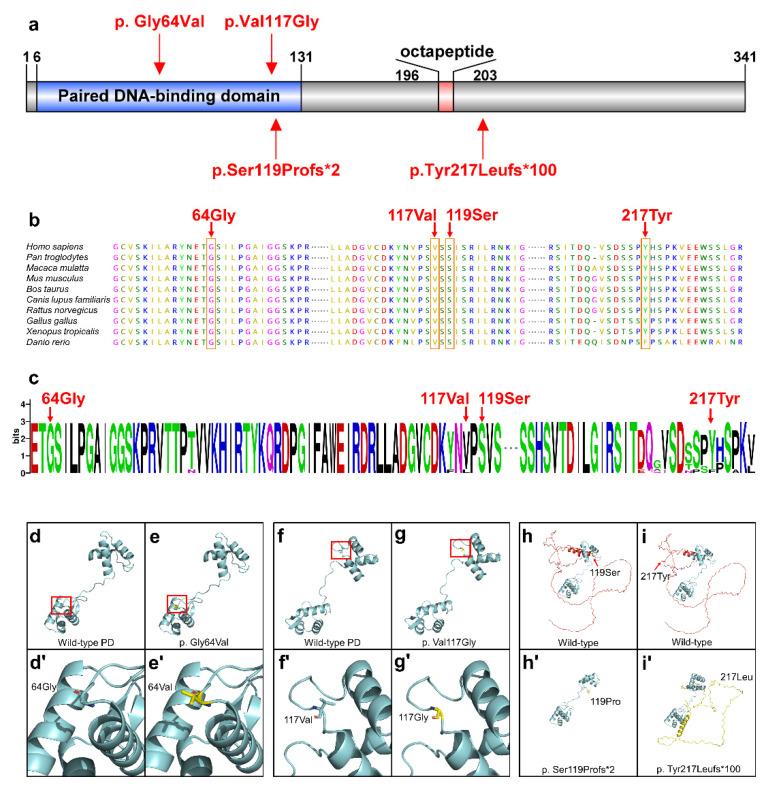 https://cdn.ncbi.nlm.nih.gov/pmc/blobs/d6e9/9331840/48051d17275f/ijms-23-08142-g002.jpg