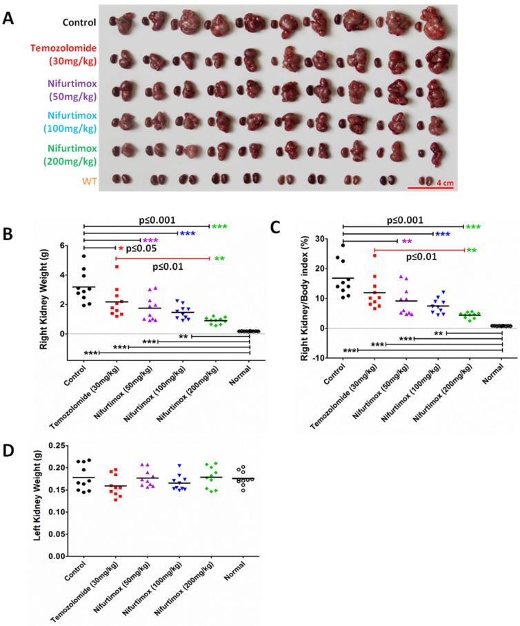 https://cdn.ncbi.nlm.nih.gov/pmc/blobs/d6ea/6584410/d2350d97b62b/jcav10p2194g003.jpg
