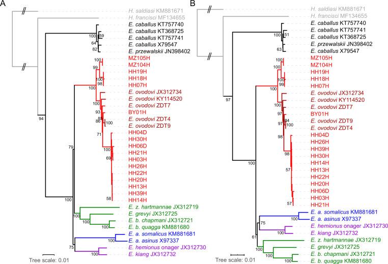 https://cdn.ncbi.nlm.nih.gov/pmc/blobs/d6eb/9142152/05ade08362aa/elife-73346-fig2-figsupp3.jpg