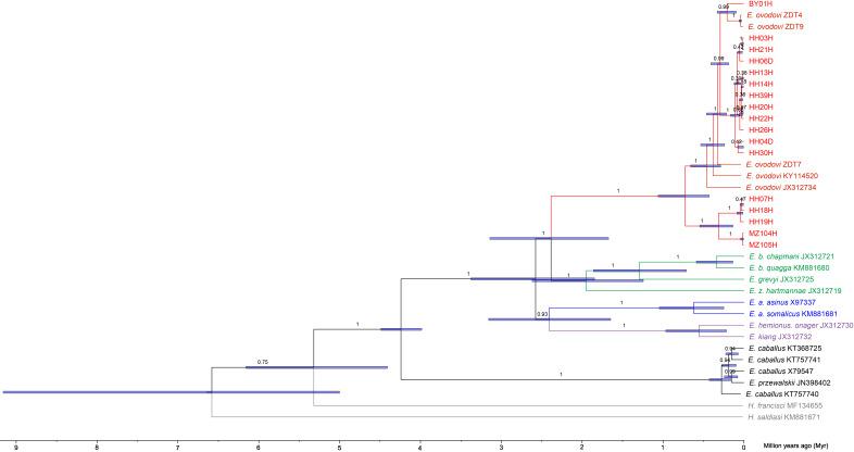 https://cdn.ncbi.nlm.nih.gov/pmc/blobs/d6eb/9142152/7347941024e2/elife-73346-fig2-figsupp4.jpg