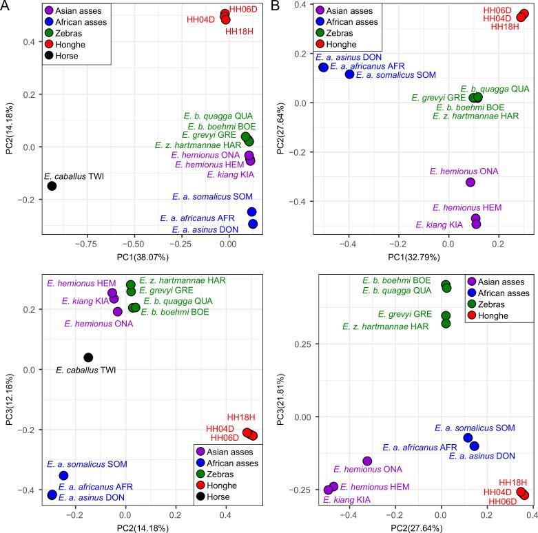 https://cdn.ncbi.nlm.nih.gov/pmc/blobs/d6eb/9142152/7431cddf9e05/elife-73346-fig2-figsupp1.jpg