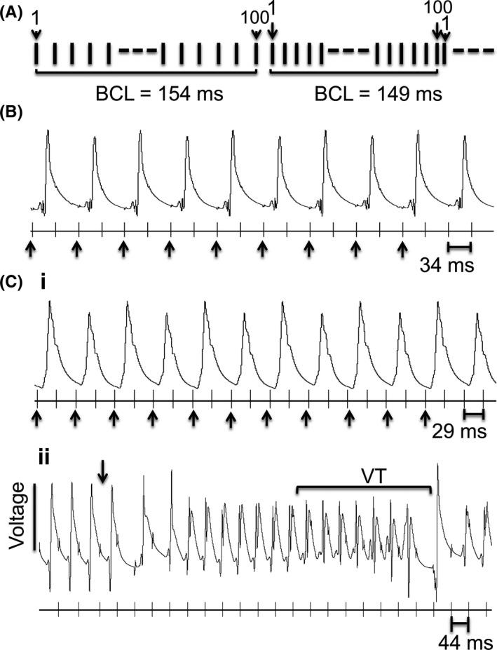 https://cdn.ncbi.nlm.nih.gov/pmc/blobs/d6ed/5488224/5d0e1922e8f5/CEP-44-686-g002.jpg