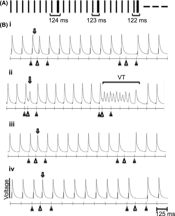 https://cdn.ncbi.nlm.nih.gov/pmc/blobs/d6ed/5488224/b9e8ec853597/CEP-44-686-g003.jpg