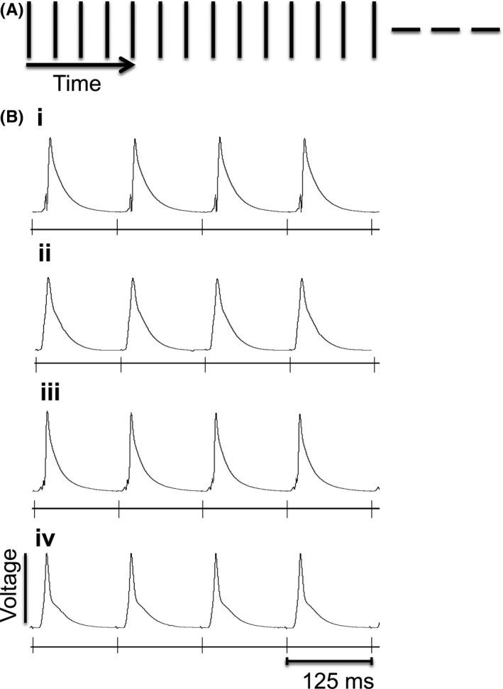 https://cdn.ncbi.nlm.nih.gov/pmc/blobs/d6ed/5488224/e9d0c3a41247/CEP-44-686-g001.jpg