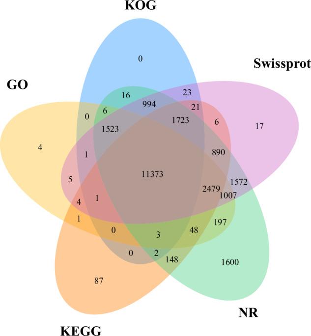 https://cdn.ncbi.nlm.nih.gov/pmc/blobs/d6ef/11577095/611d18b2cc61/41597_2024_4075_Fig4_HTML.jpg