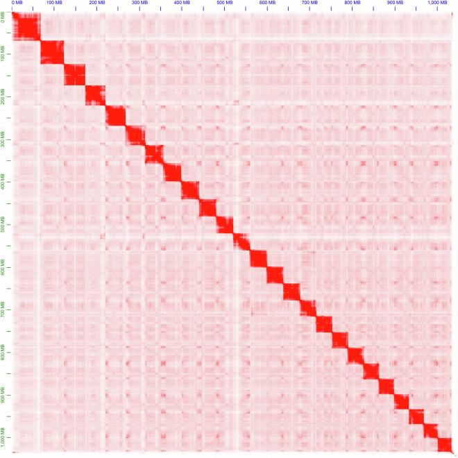 https://cdn.ncbi.nlm.nih.gov/pmc/blobs/d6ef/11577095/eddb21544bcb/41597_2024_4075_Fig2_HTML.jpg