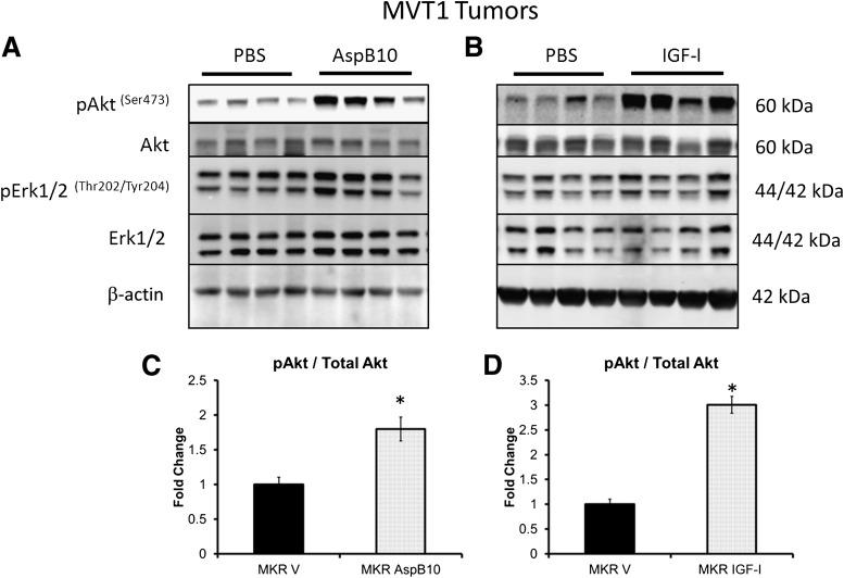 https://cdn.ncbi.nlm.nih.gov/pmc/blobs/d6f1/3781483/2763639f2479/3553fig5.jpg