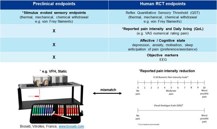 https://cdn.ncbi.nlm.nih.gov/pmc/blobs/d6f1/7897667/95c6e7ae1eb1/fphar-11-614990-g002.jpg