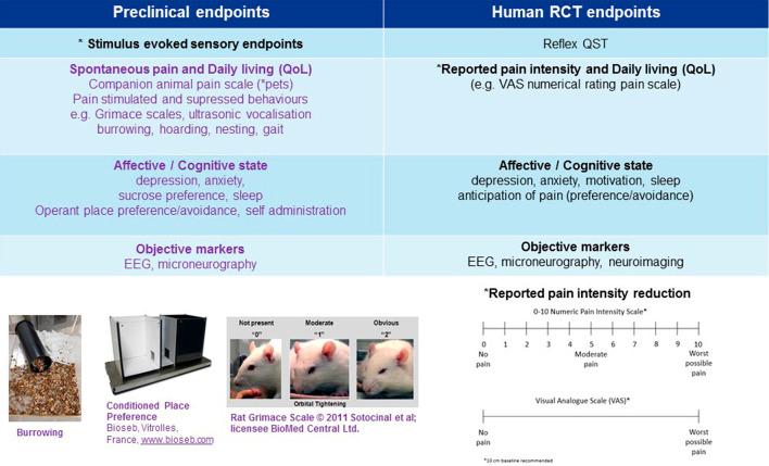 https://cdn.ncbi.nlm.nih.gov/pmc/blobs/d6f1/7897667/c4b9e88e81b4/fphar-11-614990-g003.jpg