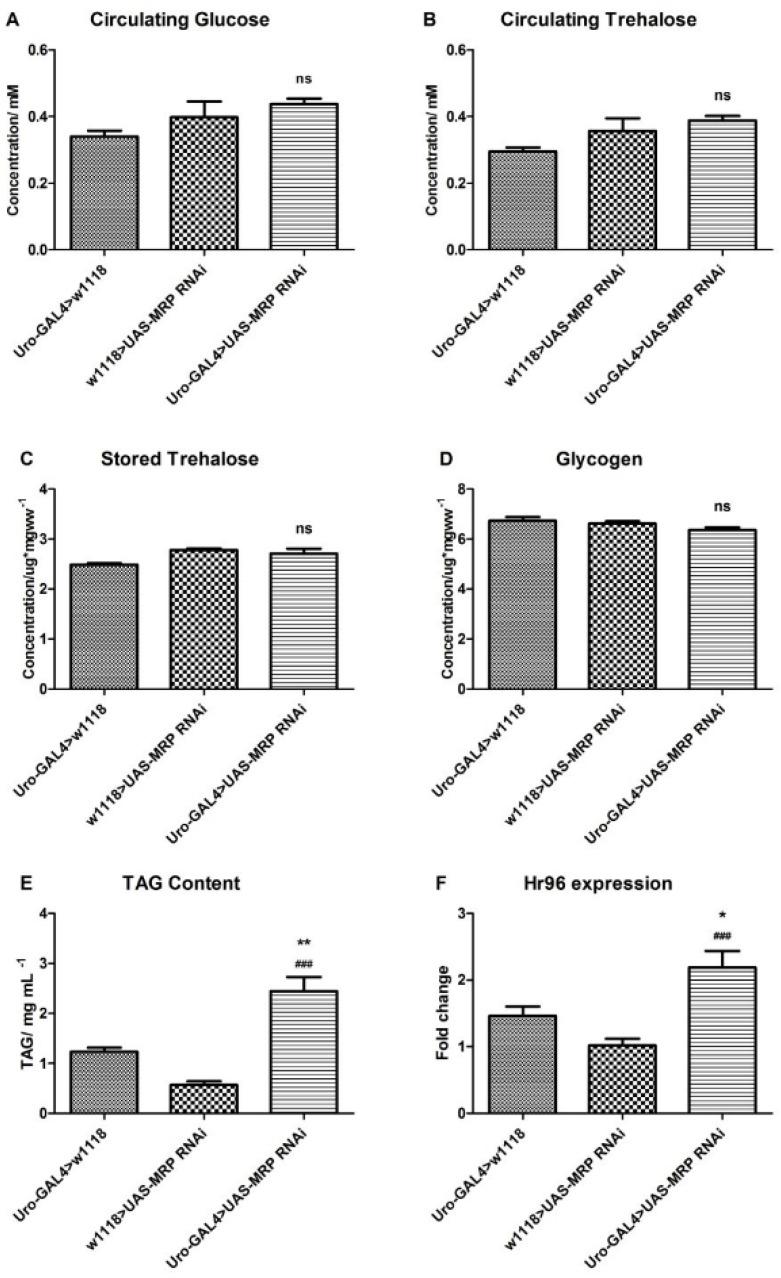 https://cdn.ncbi.nlm.nih.gov/pmc/blobs/d6f2/8229909/2582d40a707f/membranes-11-00432-g002.jpg