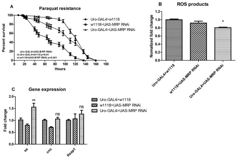 https://cdn.ncbi.nlm.nih.gov/pmc/blobs/d6f2/8229909/b7fa26441007/membranes-11-00432-g004.jpg