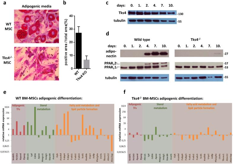 https://cdn.ncbi.nlm.nih.gov/pmc/blobs/d6f3/5053279/6c0e38c159b5/srep34280-f4.jpg