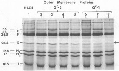 https://cdn.ncbi.nlm.nih.gov/pmc/blobs/d6f4/172503/04168d178026/aac00073-0054-b.jpg