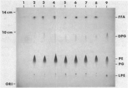 https://cdn.ncbi.nlm.nih.gov/pmc/blobs/d6f4/172503/84b46dfa26b3/aac00073-0056-a.jpg